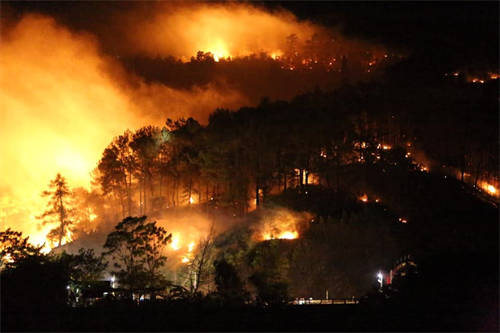 Rừng Hà Tĩnh lại cháy dữ dội, hàng trăm người lên núi Nầm dập lửa giữa đêm